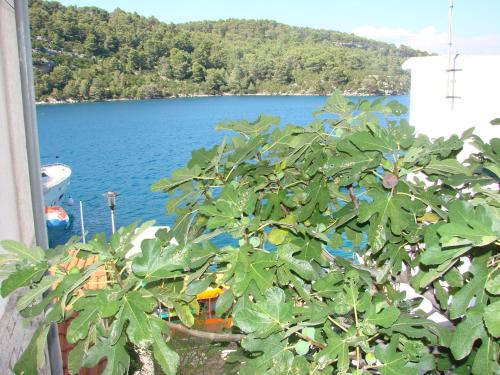 Sea House Mljet