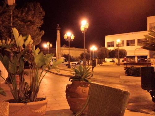 Hotel Medusa - image 2