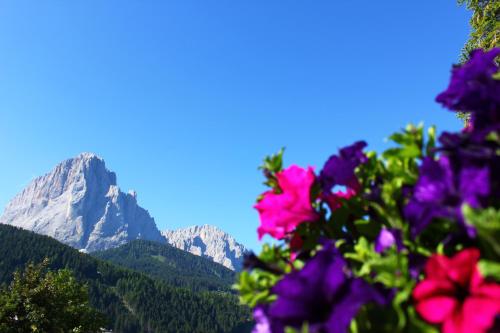 Villa Martha - Adults Only Hotel - image 6