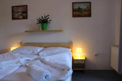Apartmany Ruby in Рокитнице-над-Їзерою