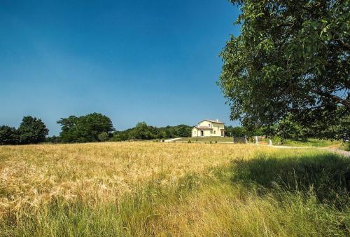 Villa Frankovici - image 4