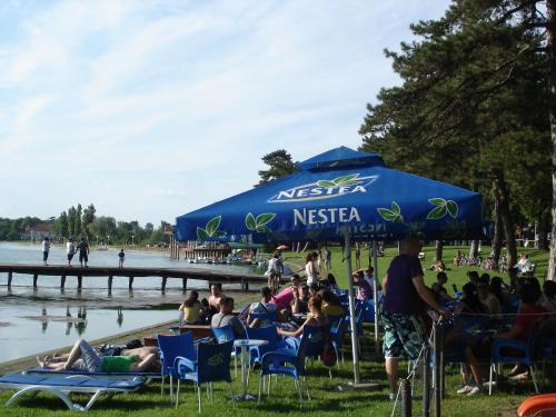 Vila Madams - image 9