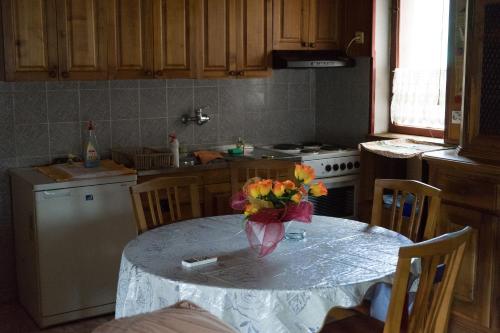 Apartmani Teodor