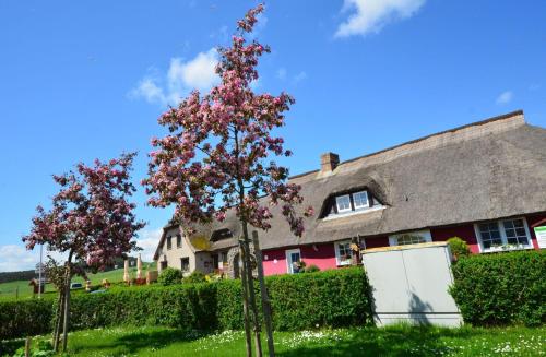 Grosse-Ferienwohnung-Amrum