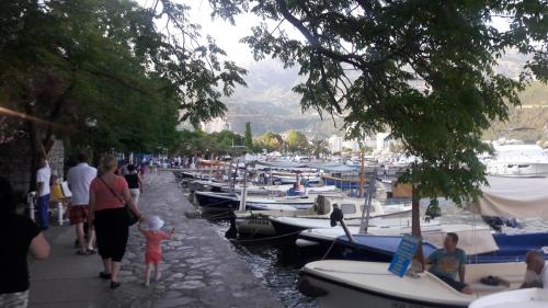 Apartments Veselinka - image 10