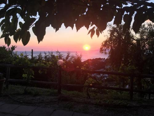 Agriturismo del Sole - image 2
