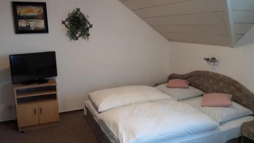 pension Jesen - image 10