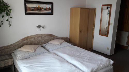 pension Jesen - image 4