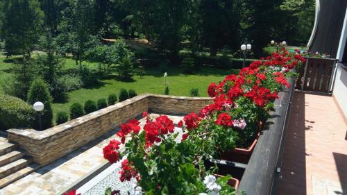 Park Hotel Izvorite - image 10