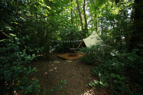 Hollington Park Glamping - Hotel - Newbury