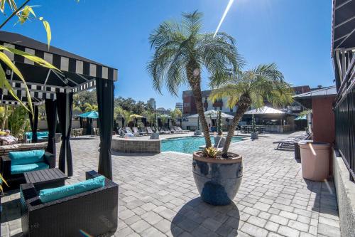 Létesítmények, Hollander Hotel - Downtown St. Petersburg in St Petersburg (Florida)
