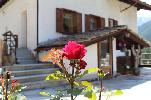 Rõdu/terrass, Residence Pavou in Cogne