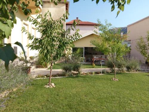 Aurelia B&B - image 4