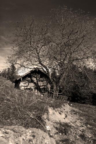 Gasthof Fischerstüberl