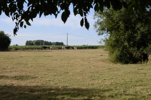 Gite de la pature gîte à louer Bourg-Achard