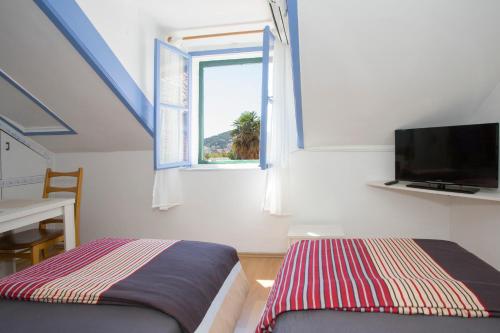 Dalmatian House - image 2