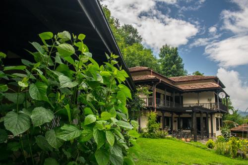 Villa Verbena - image 5