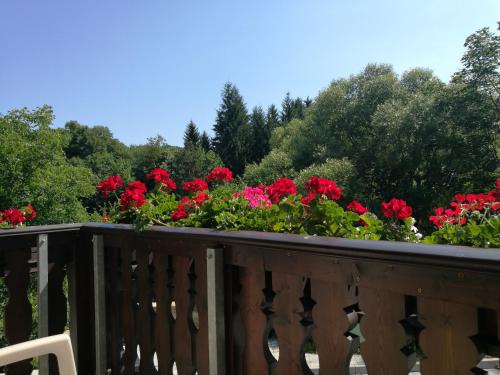 Park Hotel Izvorite - image 13
