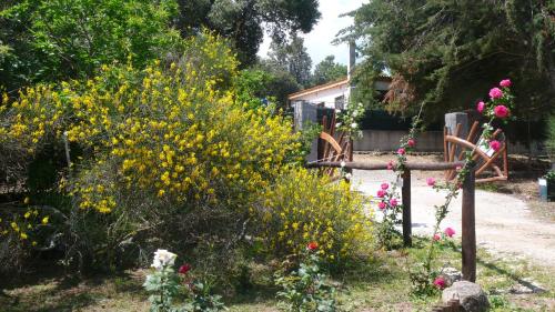 Casa Solotti - image 7