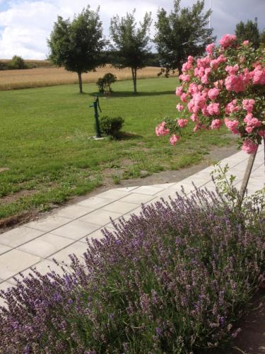 Borrby Frö B&B - image 14