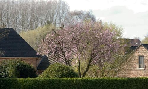  De Rankhove, Pension in Herne bei Viane