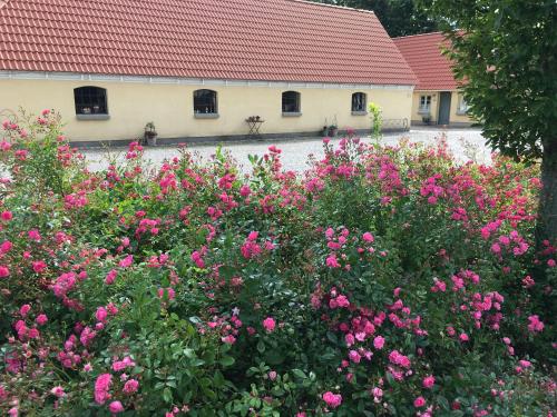 Birkende Bed and Breakfast - image 10