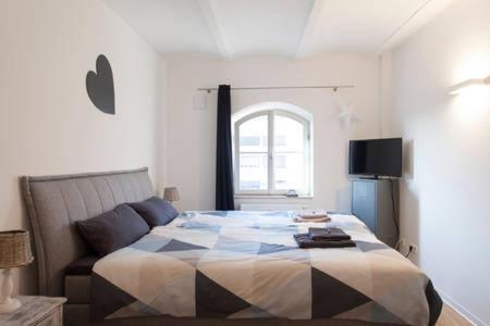 Stadt-Apartment, Norimberga (foto 2)