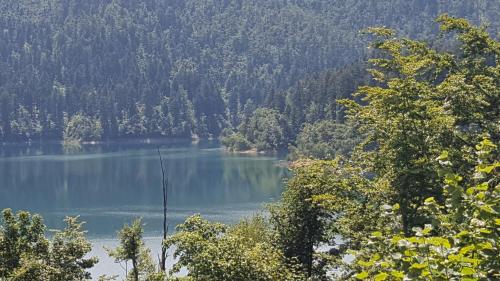pludmale, Holiday home Bozica in Lokve