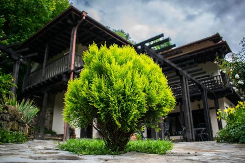 Villa Verbena - image 4