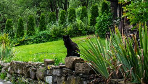 Villa Verbena - image 3