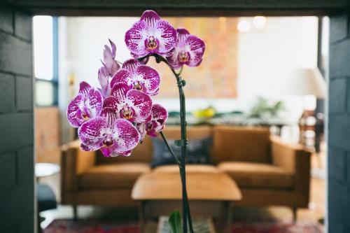 The Publishing House Bed and Breakfast Chicago (IL) United States