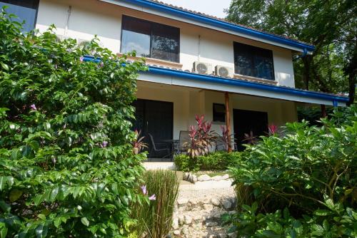 Tamarindo Blue Apartments - 편의 시설/서비스