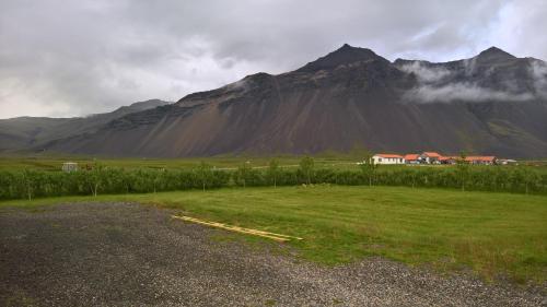 Sefdalur Studio Apartment - Höfn