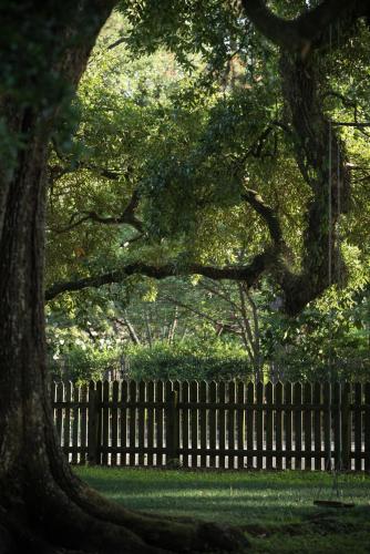 Mouton Plantation - image 8