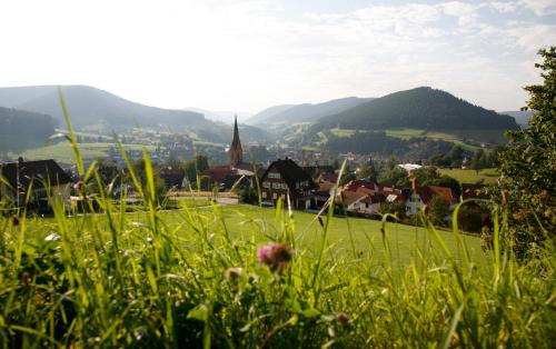 Panoramahotel Berghof - image 2