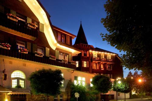 Treschers Schwarzwald Hotel - image 11