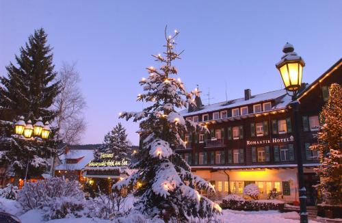 Treschers Schwarzwald Hotel - image 6
