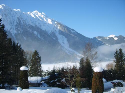 Frühstückspension Rofangarten - image 2