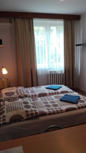 West City Apartments - image 3