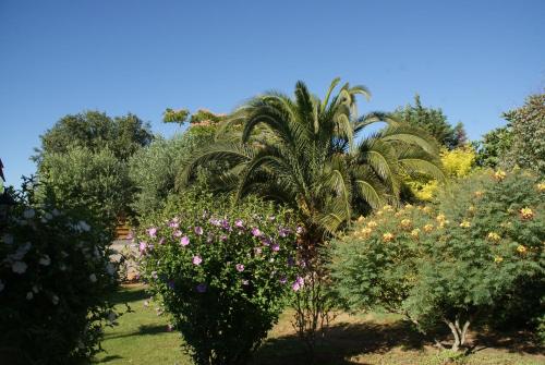 Chalet d'Hotes - Les Sauges