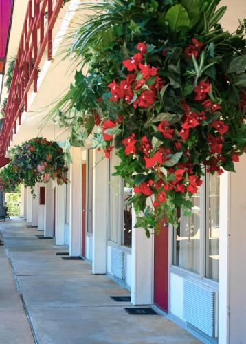 Passion Play Road Inn - Formerly Statue Road Inn