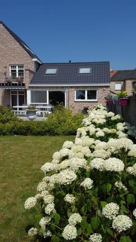 Luppolo vakantiehuis Westhoek gîte à louer Roesbrugge-Haringe