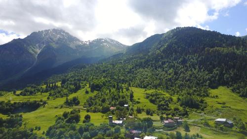 Apkārtne, Guest House Gogia in Tsaldashi