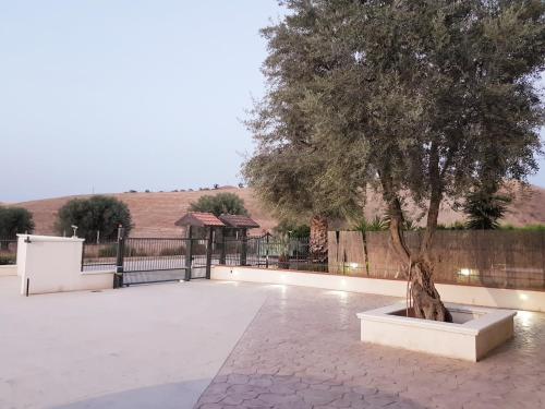  Casale Marcalia - bed & breakfast in Corigliano Calabro