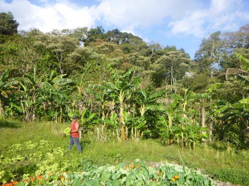 Veikali, Finca Lindos Ojos in Esteli