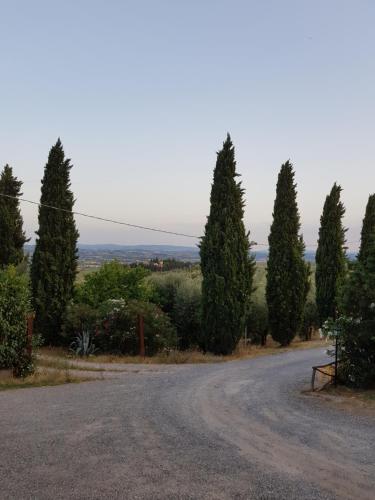 Agriturismo Podere Casalone - image 3