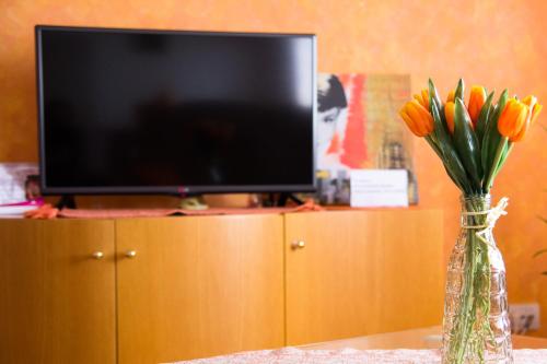 Airport Apartments - image 11