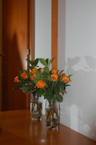 Penzion Pri Slovenc - image 12