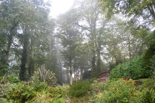 Thornybank - image 6