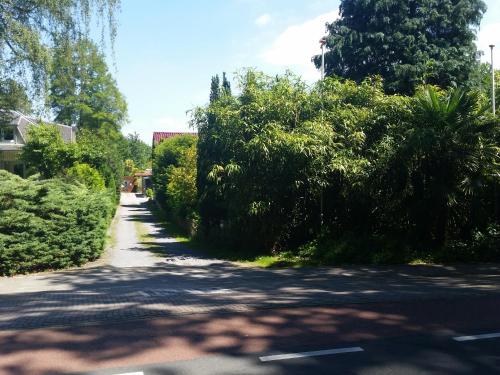  Zen in Schoorl in Schoorl
